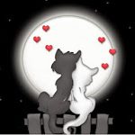 621854_WLLTXSF5PG2UYQ3AJW6E73BF4H1P5X_gatitos-enamorados_H000600_L