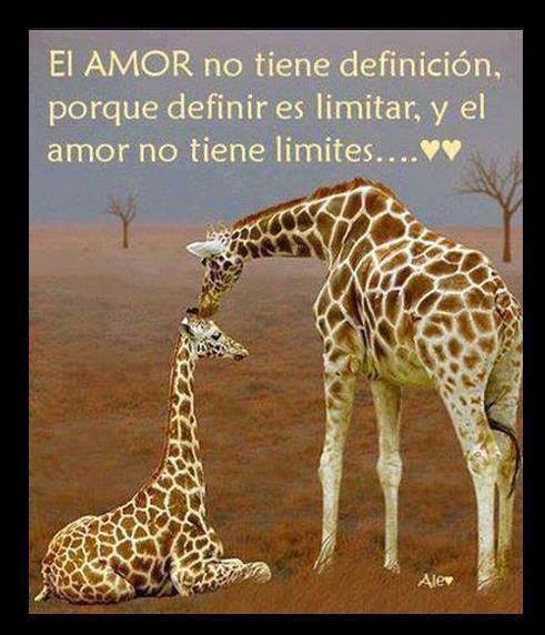El amor no tiene definición, porque definir  es limitar, y el amor no tiene límites.