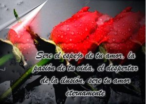 Seré el espejo de tu amor, la pasión de tu vida, el despertar de la ilusión, seré tu amor eternamente.