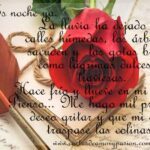 Una-carta-que-no-dice-adios