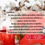 Bodas-de-Algodón