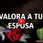 Video thumbnail for youtube video q4pay3mpfqe